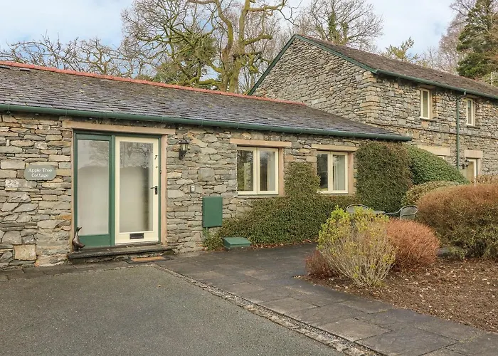 Apple Tree * Windermere